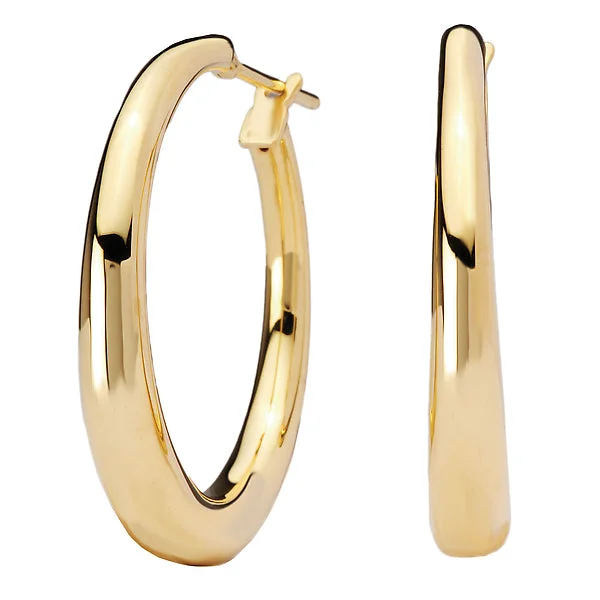 Horoscope Earrings -Ladies Fashion Hoop Earrings